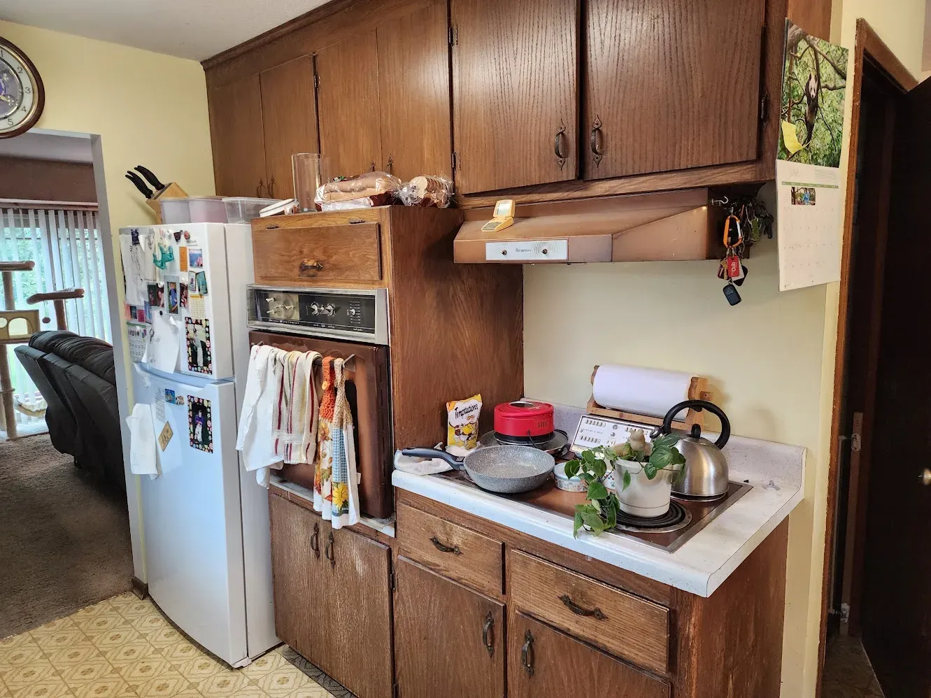 Old kitchen with dark wood cabinets before the complete remodel
