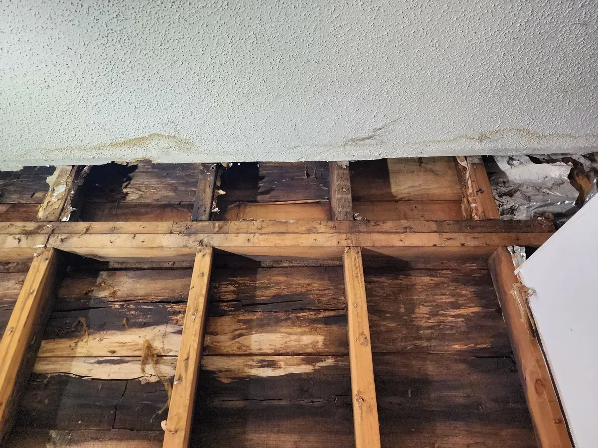 Water-damaged ceiling found during demo